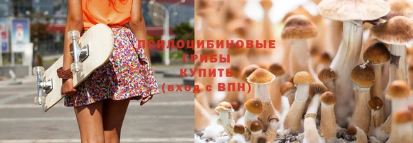 героин Алексин